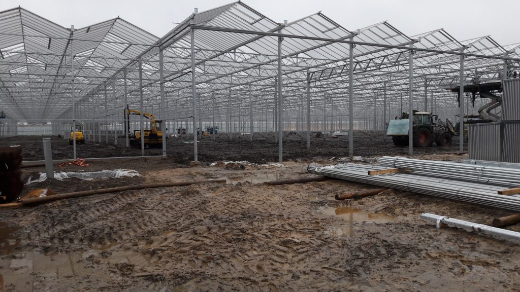 Werk America | Basalt | Agro