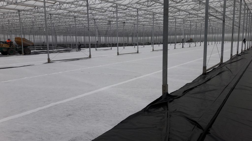 Werk America | Basalt | Agro