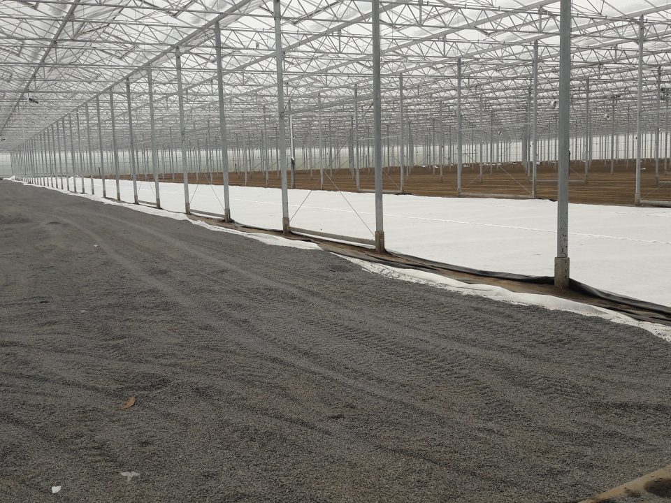 Werk America | Basalt | Agro