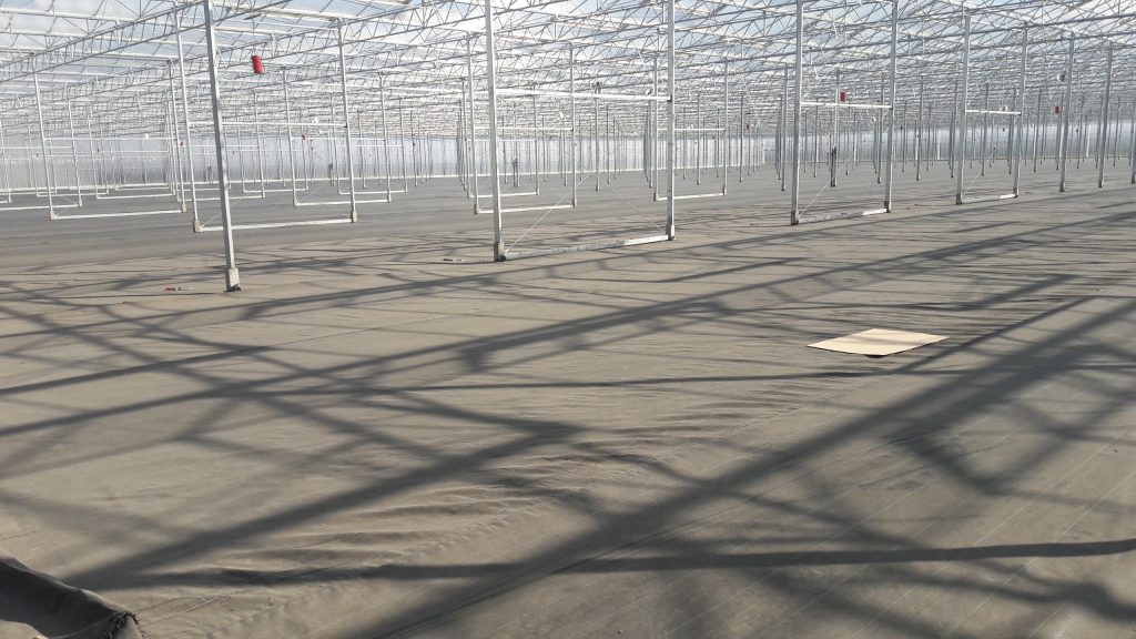 Werk America | Basalt | Agro