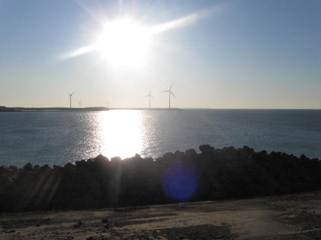 Werk Roggeplaat | Basalt | Waterbouw