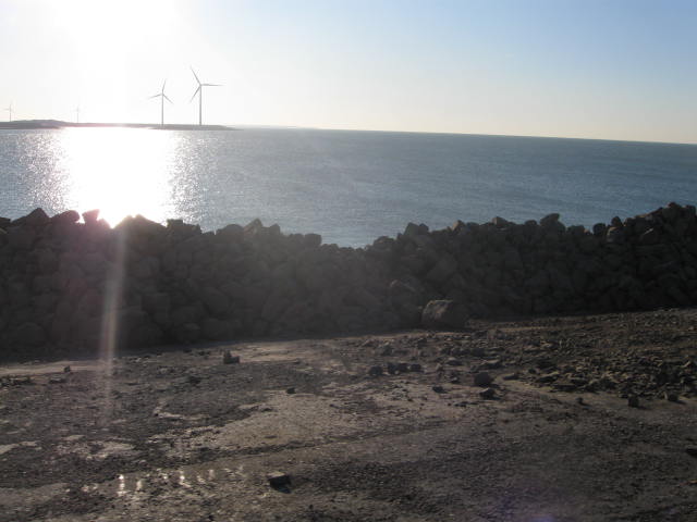 Werk Roggeplaat | Basalt | Waterbouw