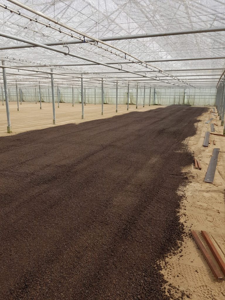 Werk Hoek van Holland | Lava | Agro