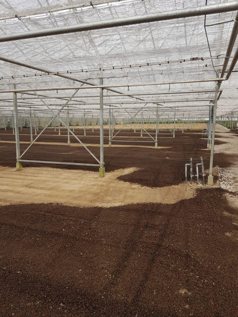 Werk Hoek van Holland | Lava | Agro