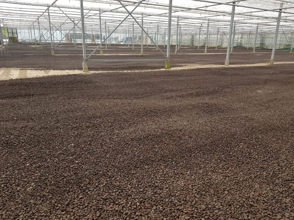 Werk Hoek van Holland | Lava | Agro