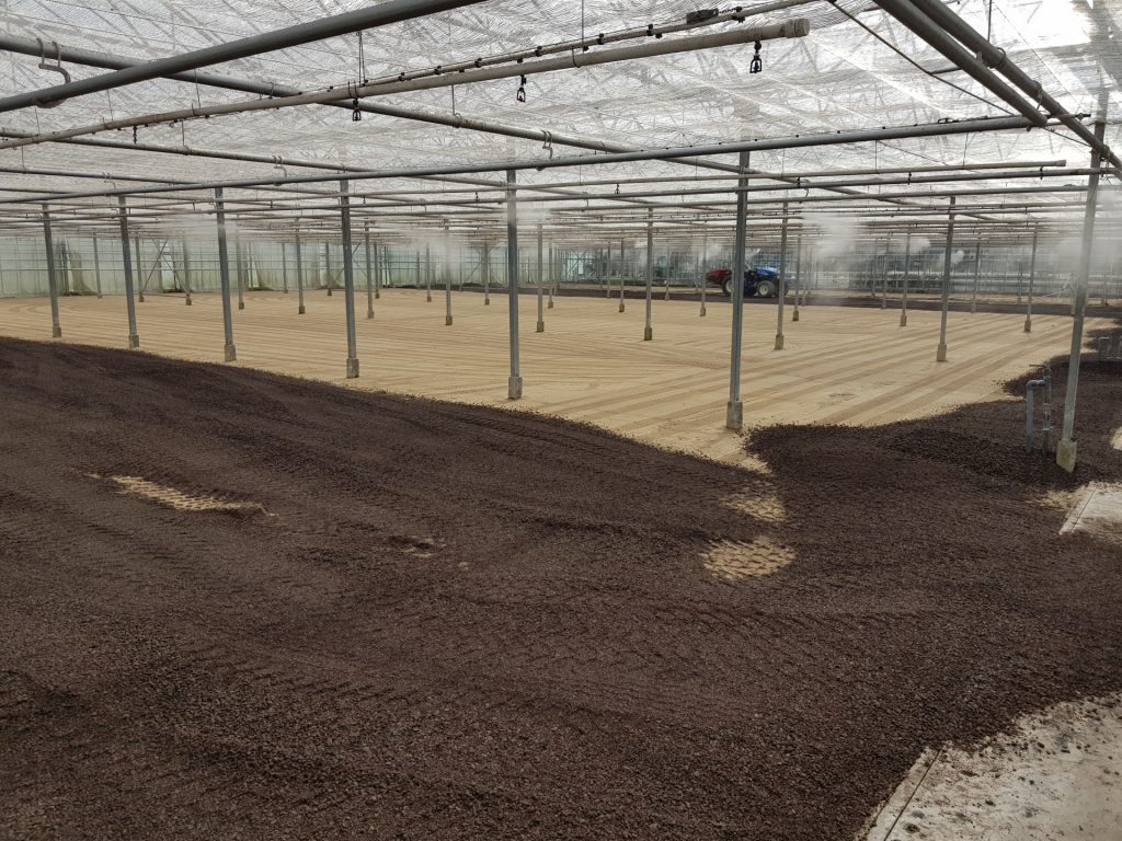 Werk Hoek van Holland | Lava | Agro
