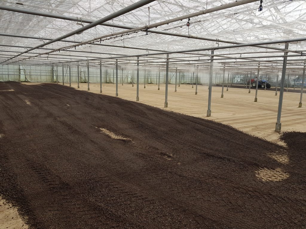 Werk Hoek van Holland | Lava | Agro