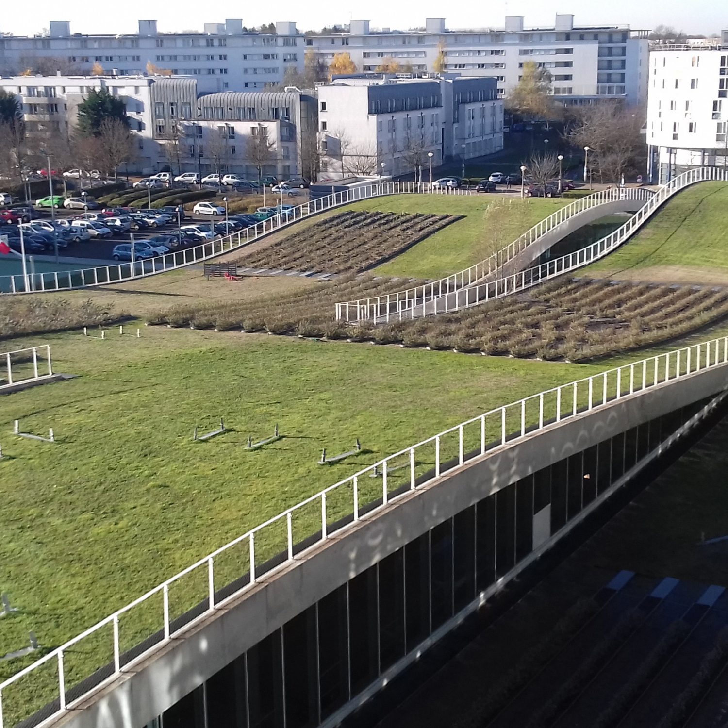 Daktuinsubstraten Daktuinsubstraten