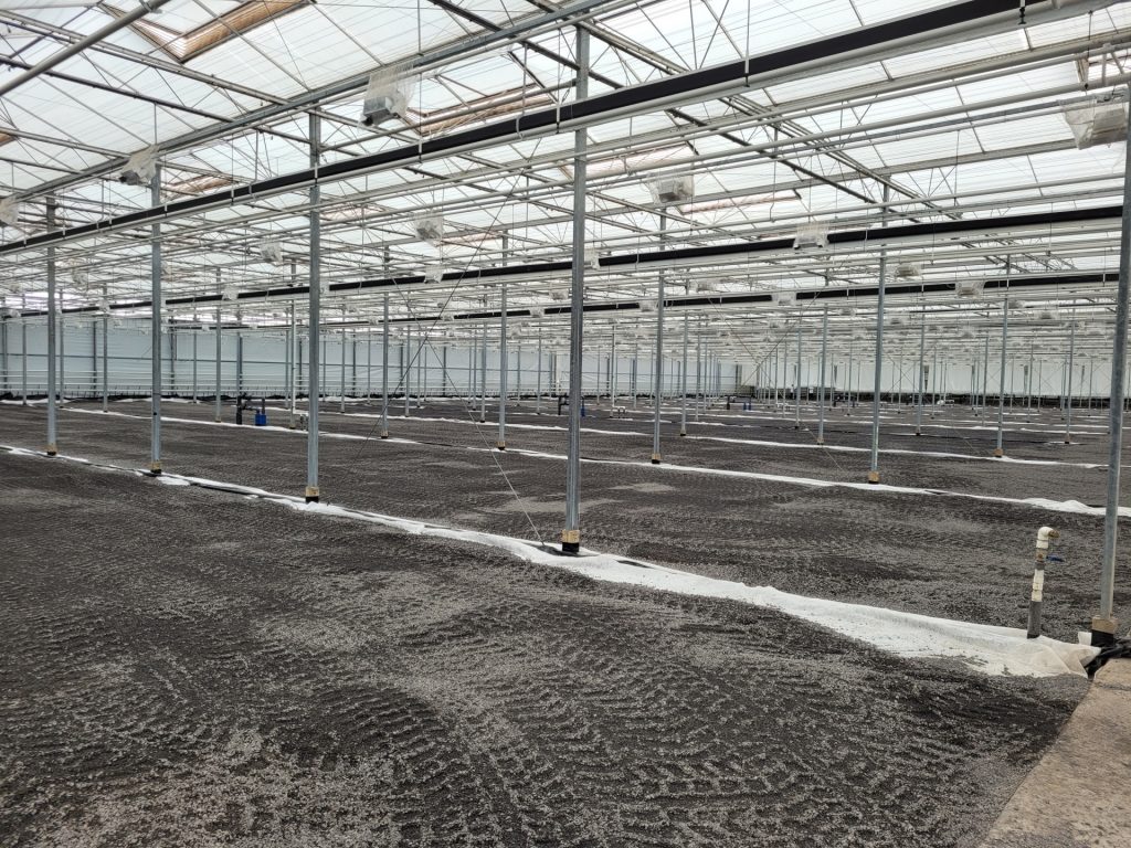 Werk 's Gravenzande | Kalksteen | Agro